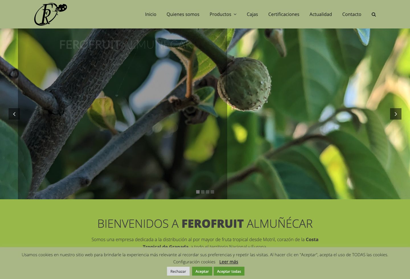 Captura de Ferofruit